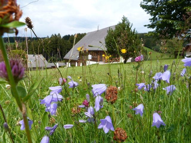 Hotel Thaelerhaeusle Furtwangen Exterior foto